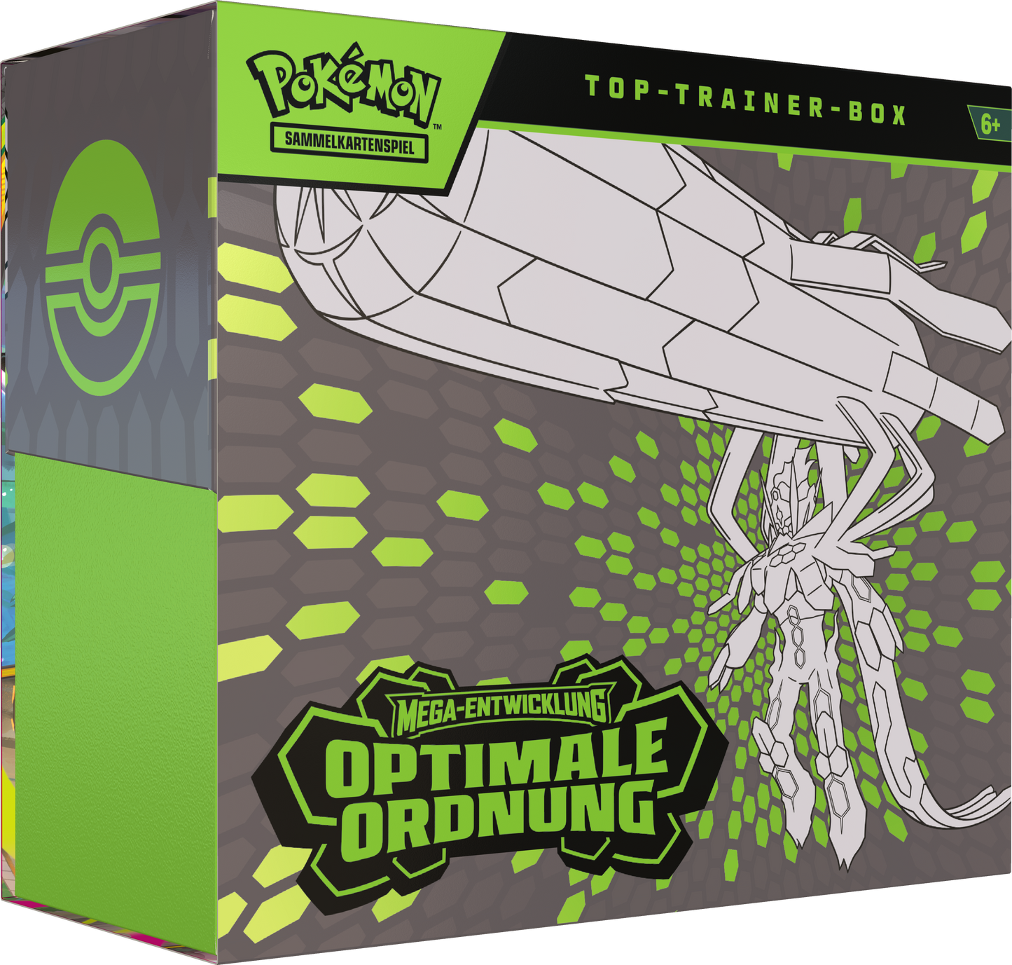 Pokemon Optimale Ordnung Top Trainer Box (DE)